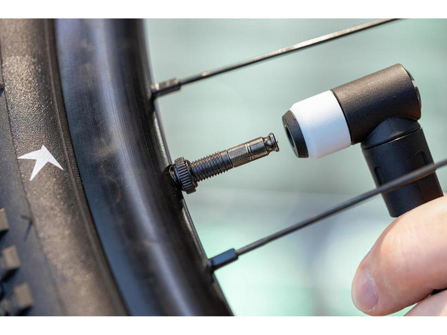 Schwalbe Clik ventil sæt